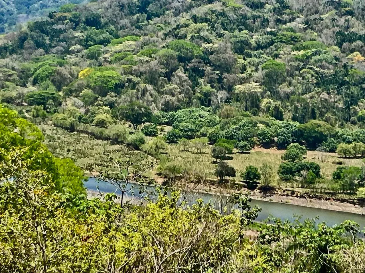 Prime Development Land Overlooking Carara Reserve & Tárcoles River | 2 Hectares - Gallery image 3