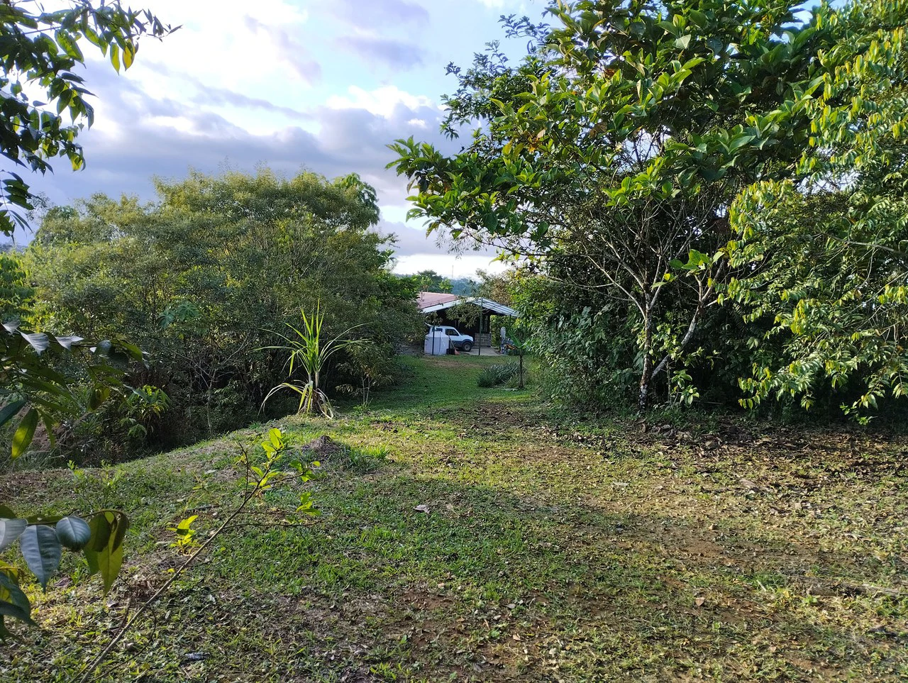 Charming Private Mountaintop home in the perfect climate of San Vito Coto Brus, San Isidro-Perez Zeledon, San Vito, San Jose, Costa Rica - Gallery image 17
