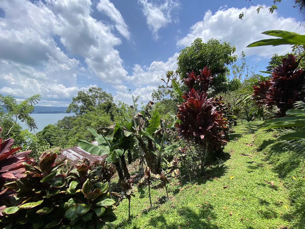 Beautiful Property with 4 cabins in El Castillo with gorgeous Lake View..!! - photo 25