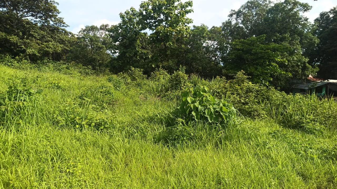 Airport Liberia property with very wide direct frontage on High - Traffic Route 21 to the Beaches - Gallery image 2