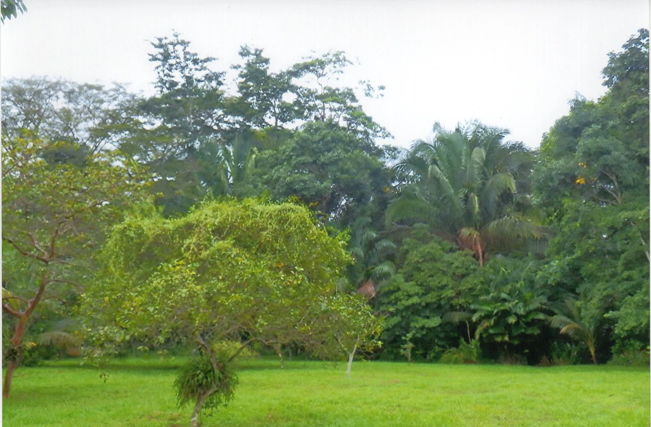 Propiedad muy grande: Countryside House For Sale in Caño Negro - Gallery image 19