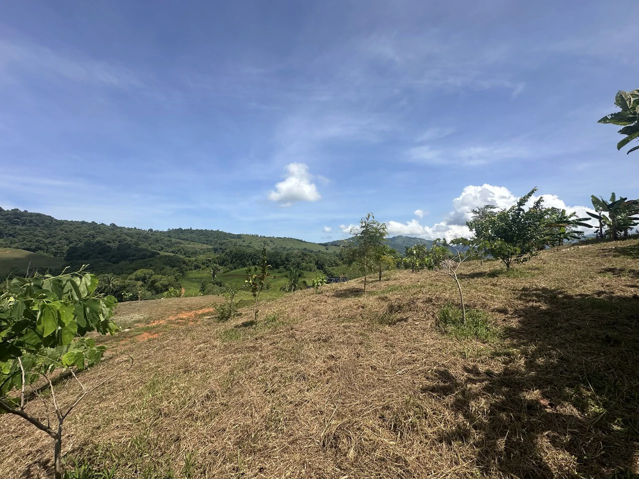 8.78 Acres Mountain View Estate with Water, Infrastructure & Endless Development Potential | Platanillo de Barú, Costa Rica - photo 23