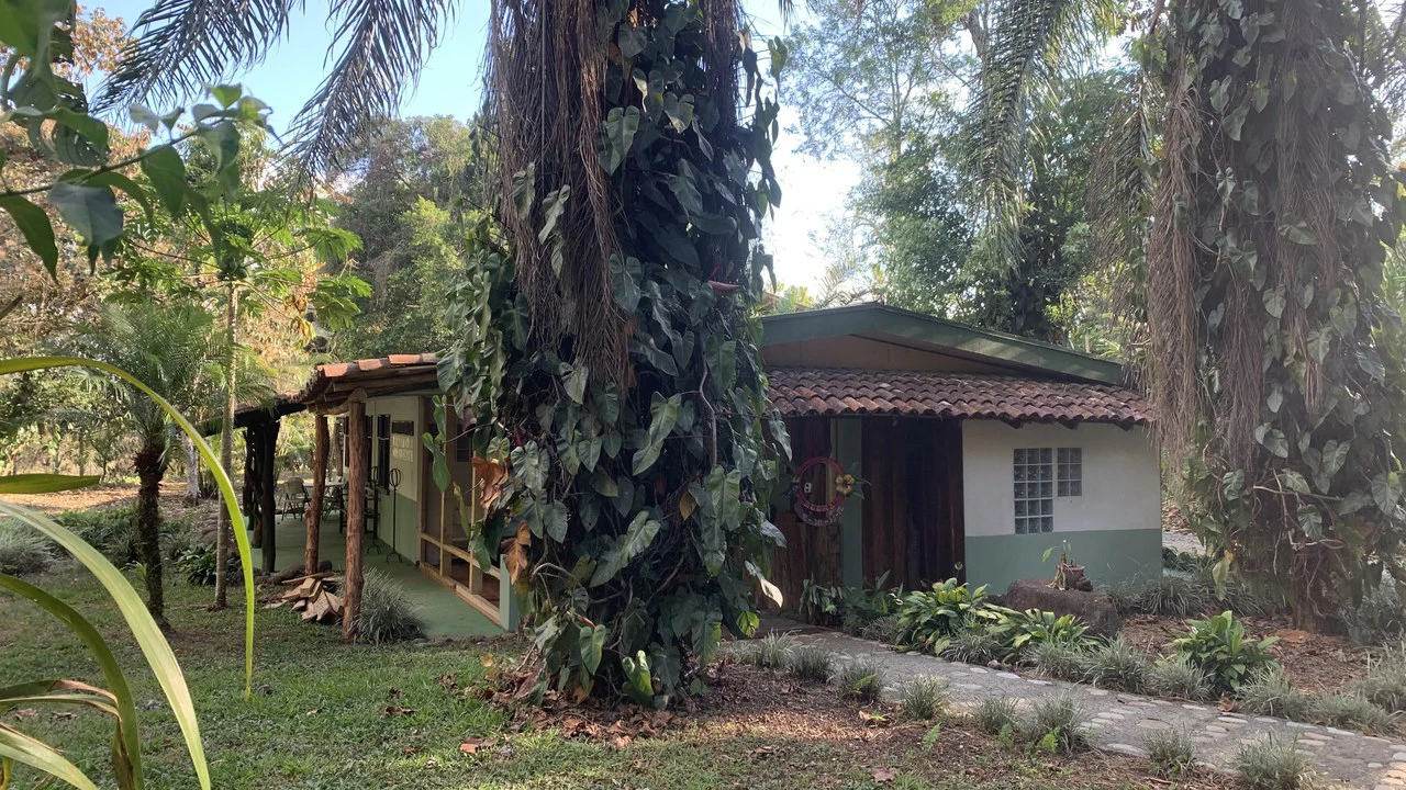 Talari Hotel: Nature and Bird Lover's Paradise - Mountain Lodge - Gallery image 19