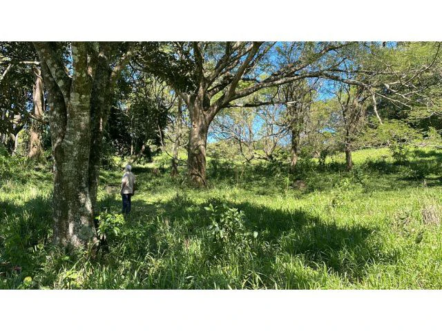 Nature Paradise Farm for sale in the mountains of Quebrada Grande, Building potential property 30 minutes away from Liberia - Gallery image 24