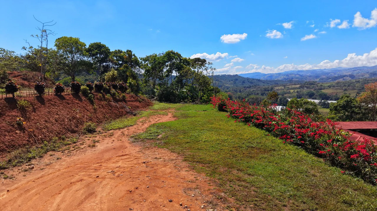 Agricultural Land For Sale in Daniel Flores - Gallery image 21