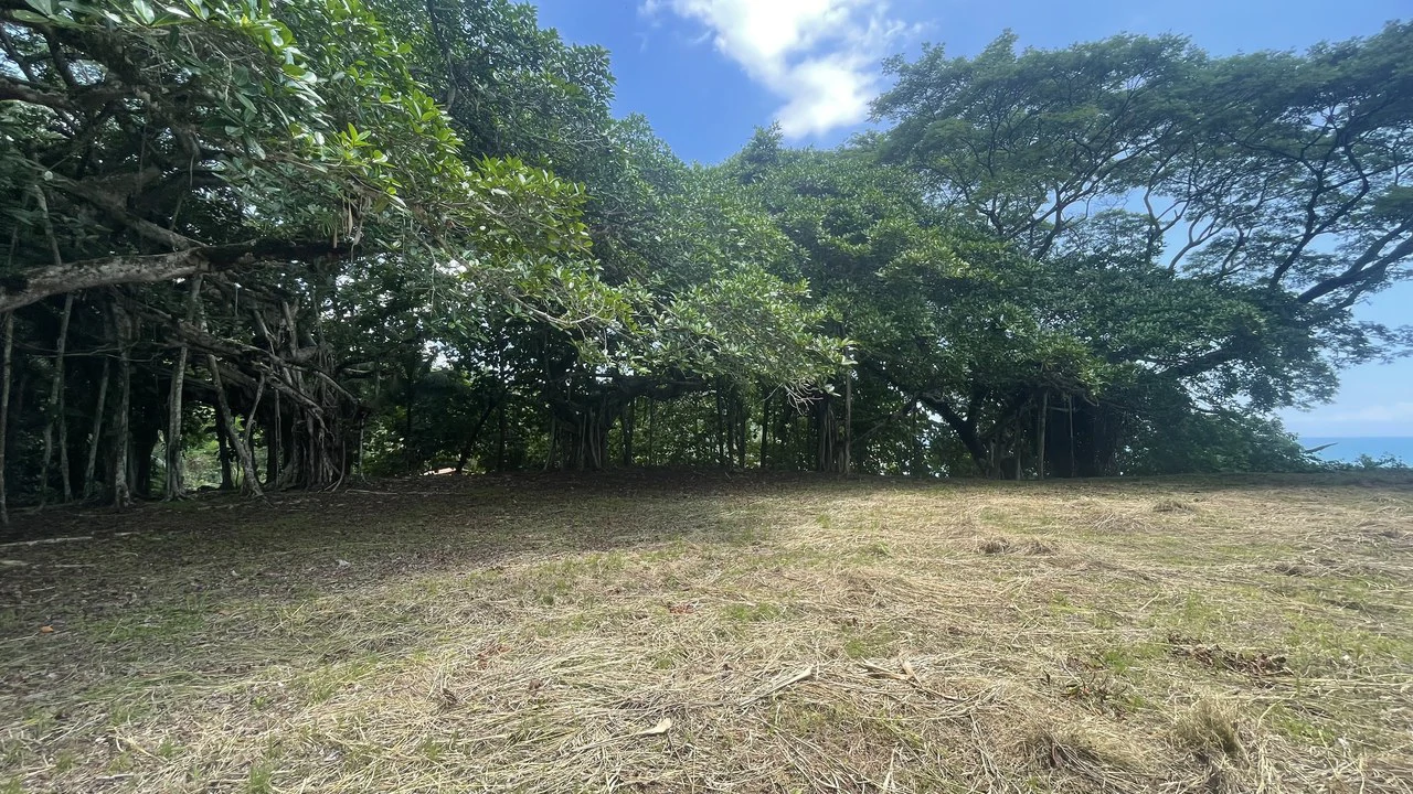 Lote playa Pita Puntarenas:    Your Opportunity on Costa Rica’s Central Pacific Coast - Gallery image 3