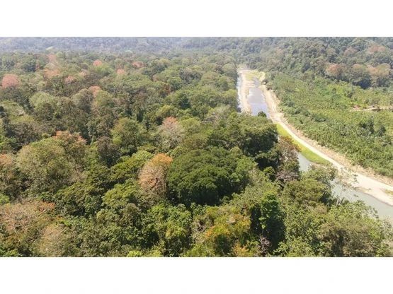 Finca Nanabri: Farm and Ecotourism Land for Sale in Penshurst - Gallery image 2