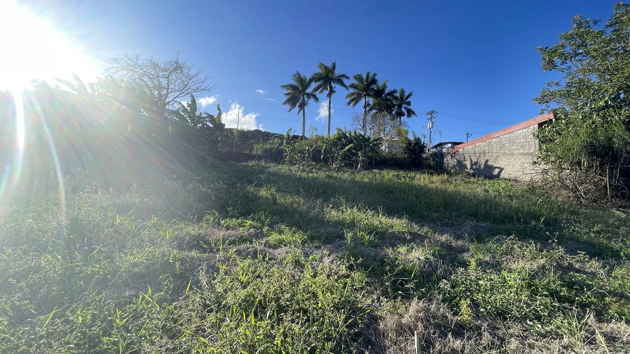 Property for Sale in San Ramón de Alajuela – Strategic Location - Gallery image 11