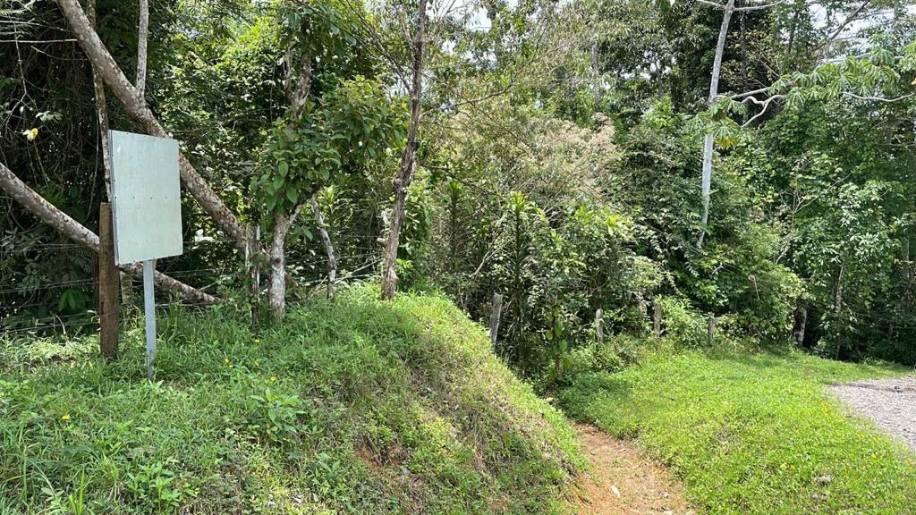 Building potential property for sale, beautiful land in the pure nature close to Bijagua - Gallery image 16