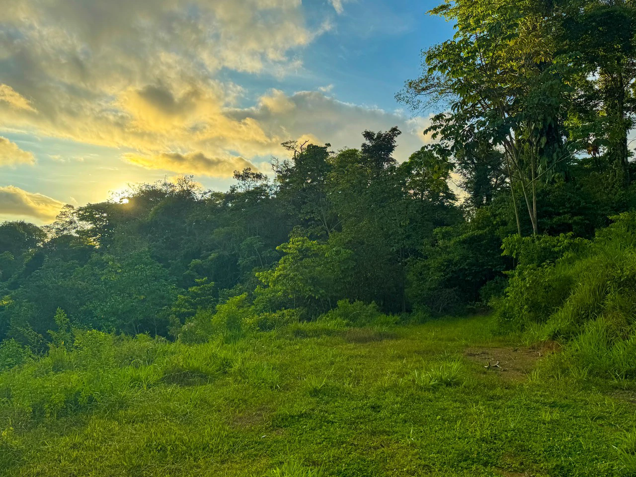 Build Your Vision in Uvita – 15.9 Ocean View Acres with Easy Access + Utilities Ready! - Gallery image 10