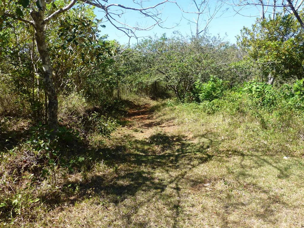 Ocean view farm for sale in the mountains of San Juanillo - Gallery image 23