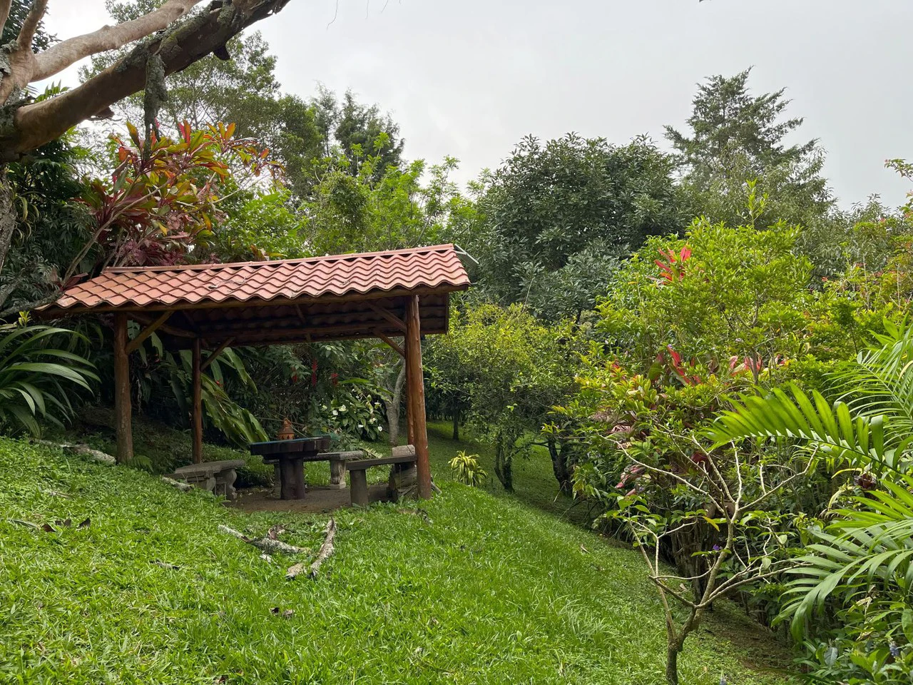 Hillside House with breathtaking Panoramic Valley Views in Santa Bárbara, Heredia: Tranquil Hillside Home - Gallery image 16