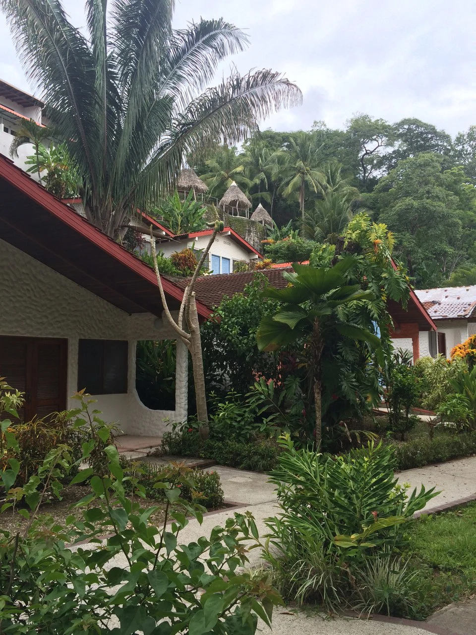 Beachfront Hotel for Sale in Playa Sámara - Gallery image 2