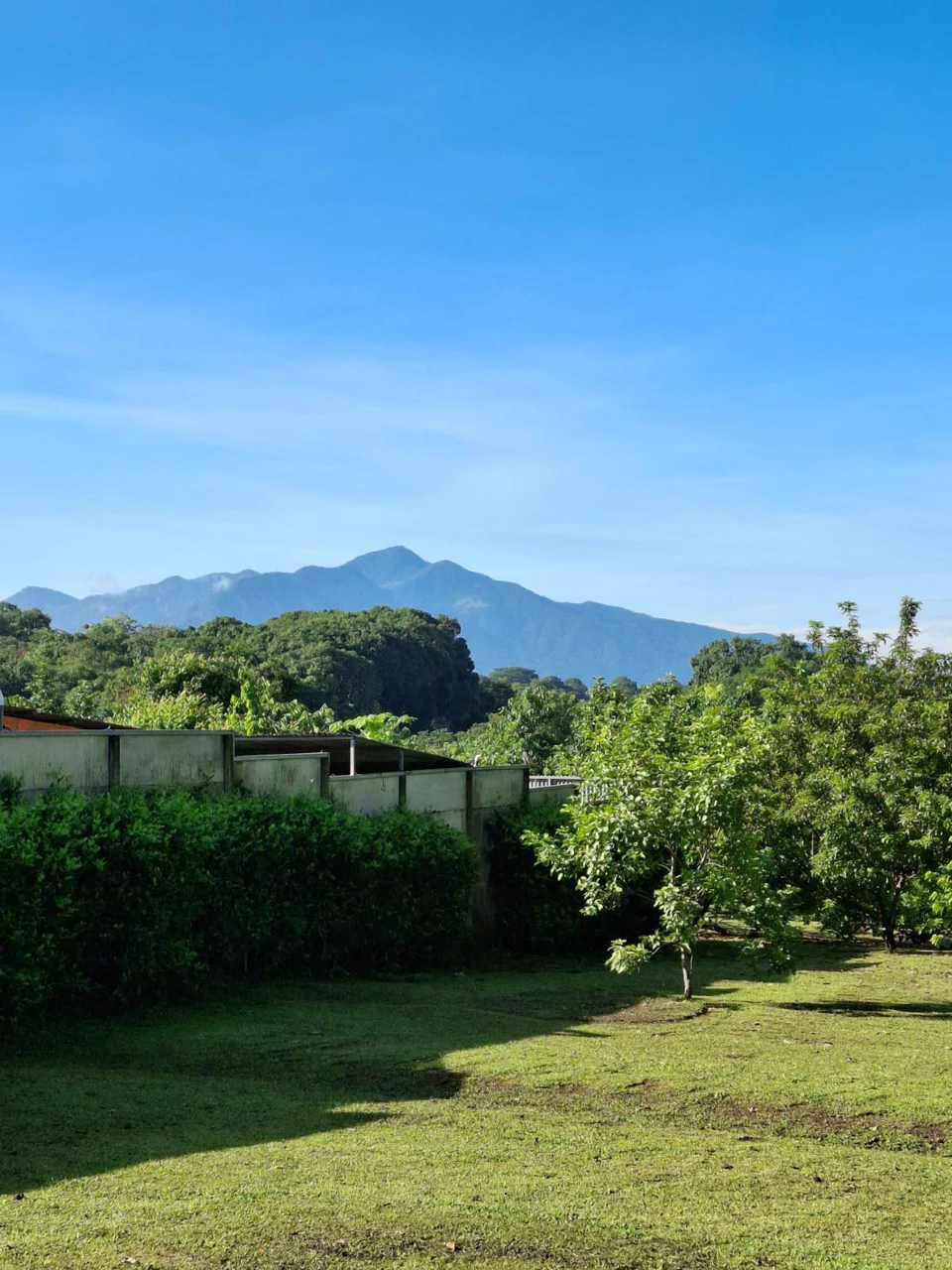 Profitable Finca...Multi USE property with Muni Approval - Gallery image 3