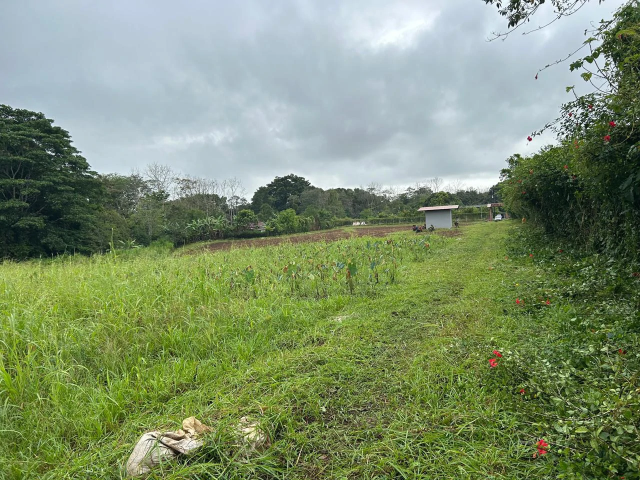$8 Dollars per meter: Countryside Development Parcel For Sale in Los Angeles - Gallery image 5
