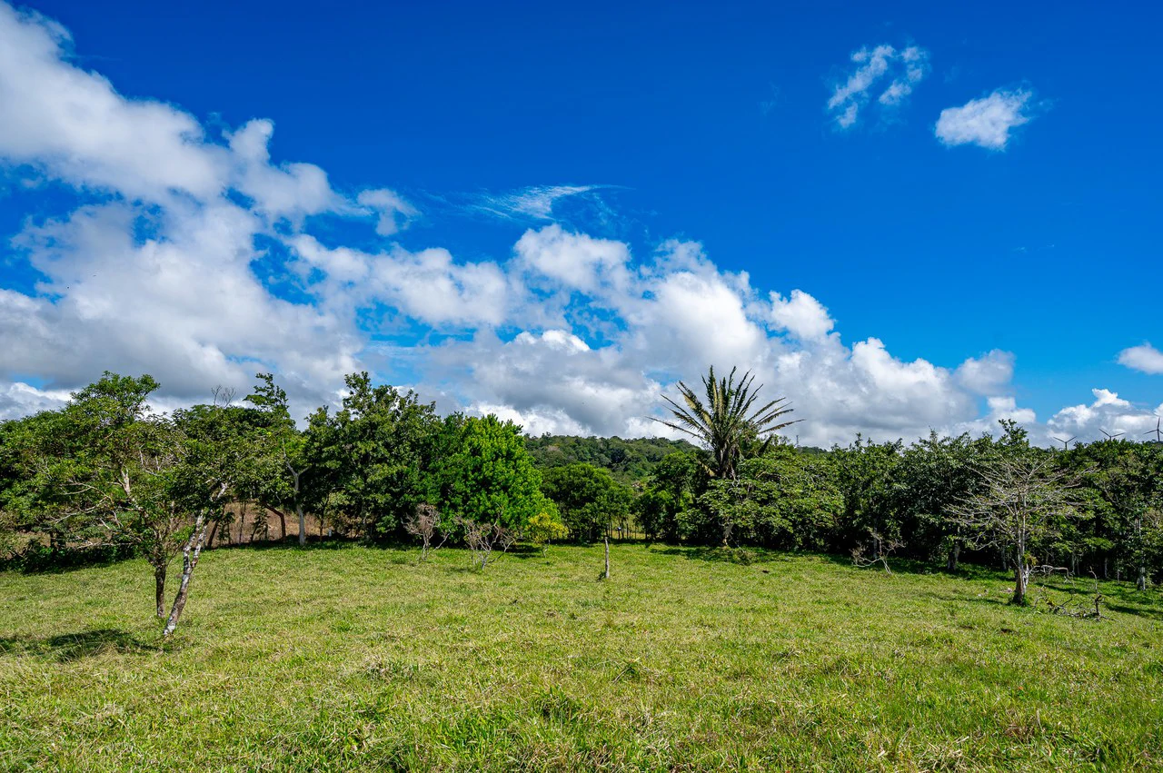 LA CABAÑA - COUNTRY ESTATE WITH HUGE POTENTIAL - Gallery image 43
