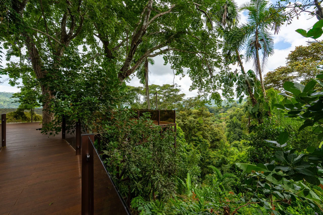 Prime 7.8 Acre Commercial Property with Restaurant for Sale in Costa Rica - Gallery image 4