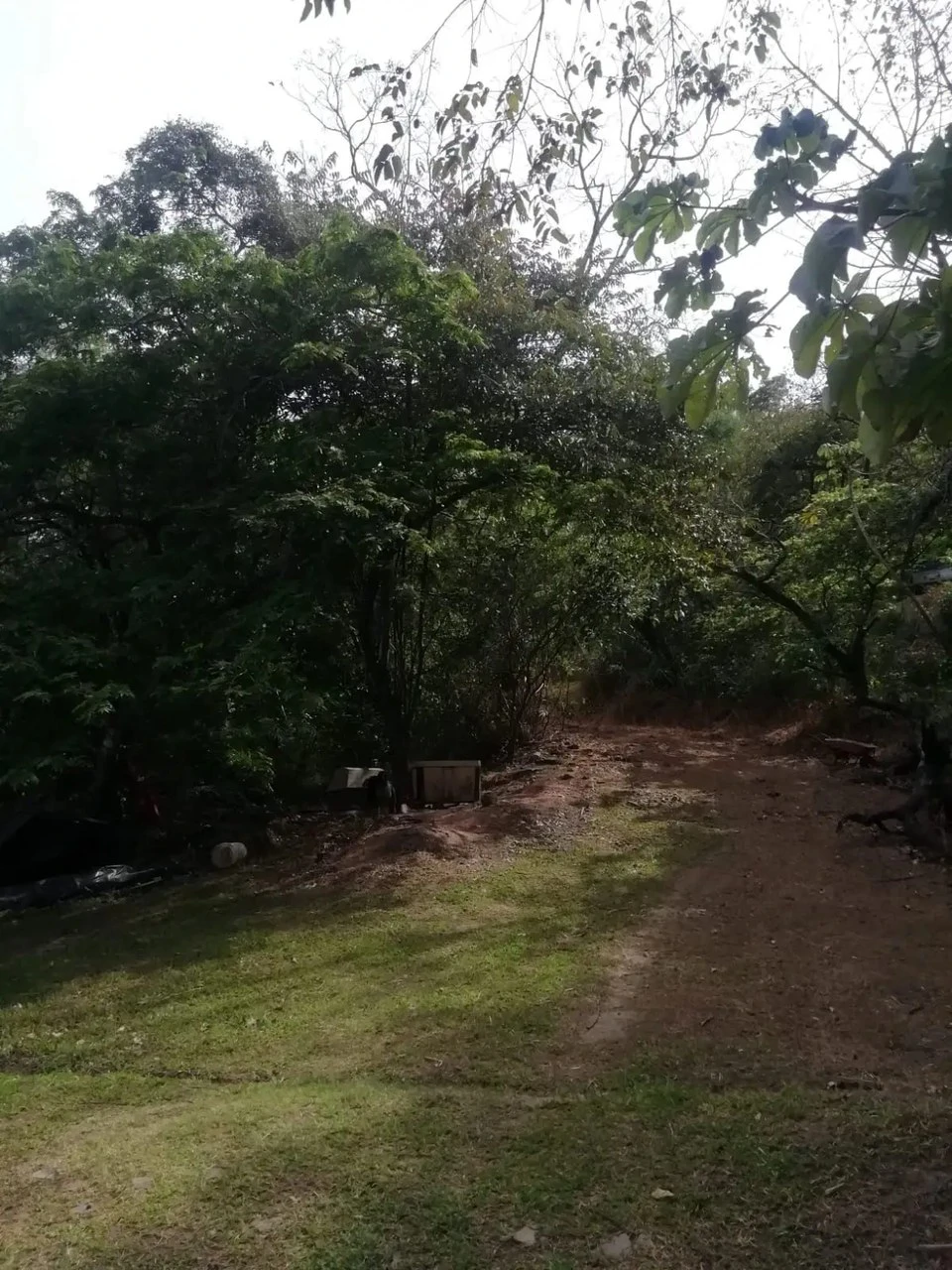 Beautiful lot in Santa Ana for a Developer - Gallery image 2