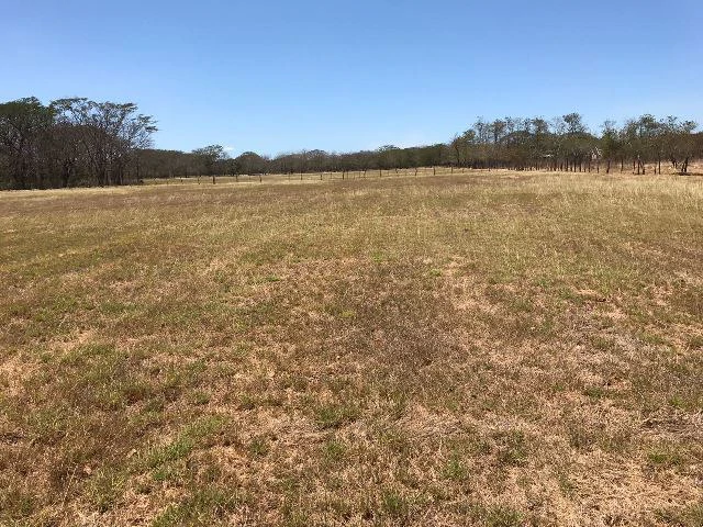 Huge terrain for sale in Guardia close to the International Airport of Liberia - Gallery image 23
