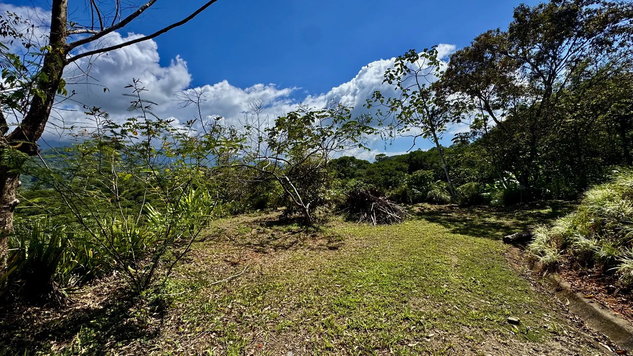 New 1,4 Acre lot in Platanillo – With Legal Water - Gallery image 5