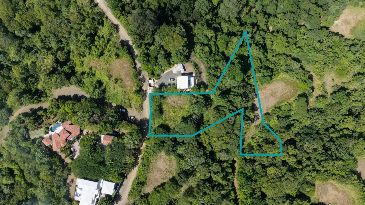 Pacific Heights Double Pad Lot: Spectacular Lot with Panoramic Ocean and Mountain Views! - Gallery image 5