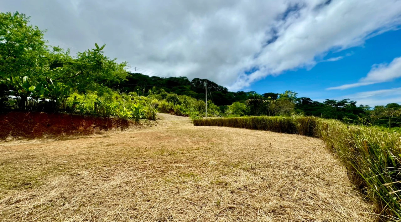 Spring and Waterfall!  3,2 Acres lot in Uvita Mountains - Gallery image 14