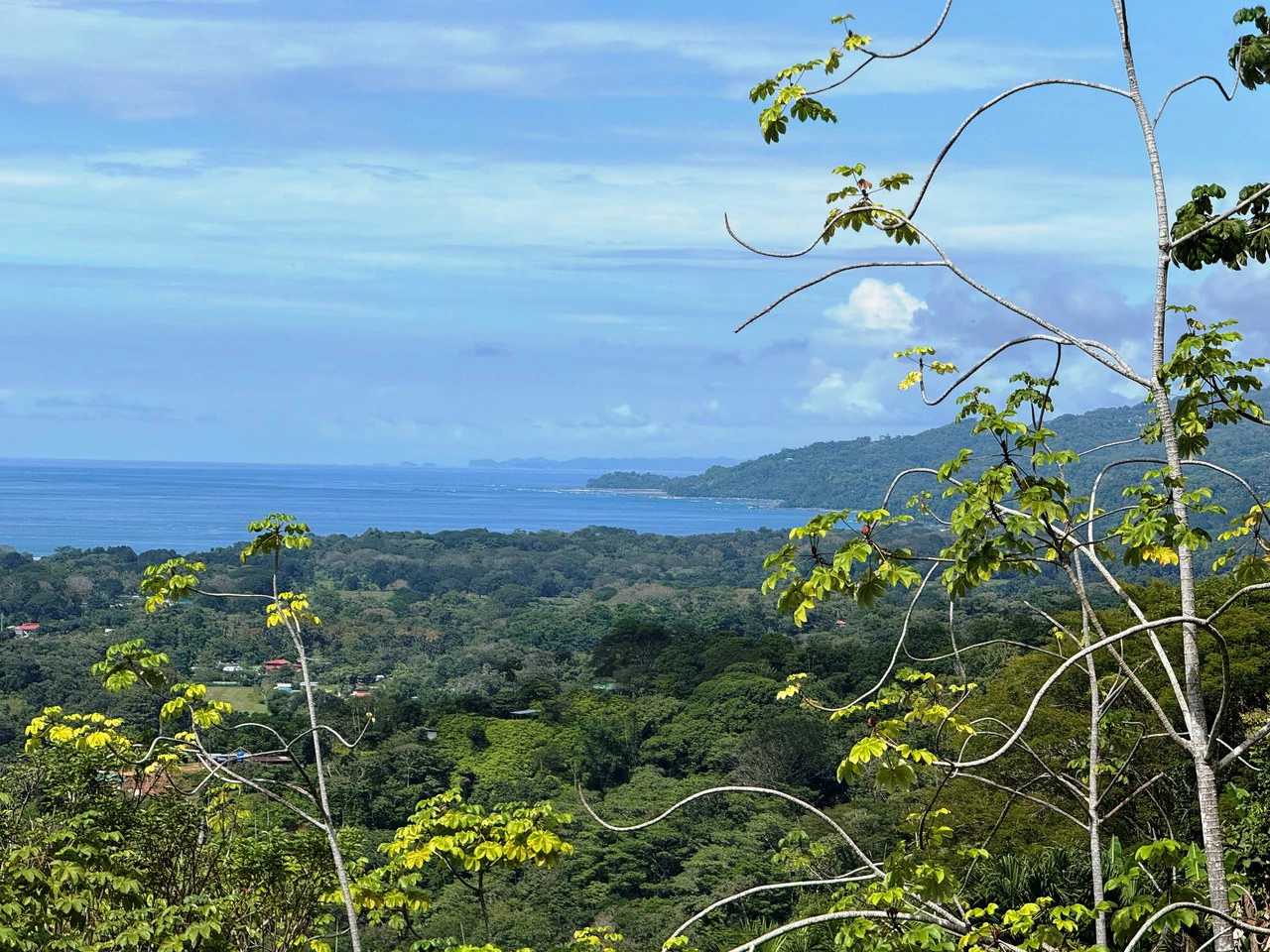 1.6 Acre Ocean View Home site in Uvita the Best Views in Town - Gallery image 15