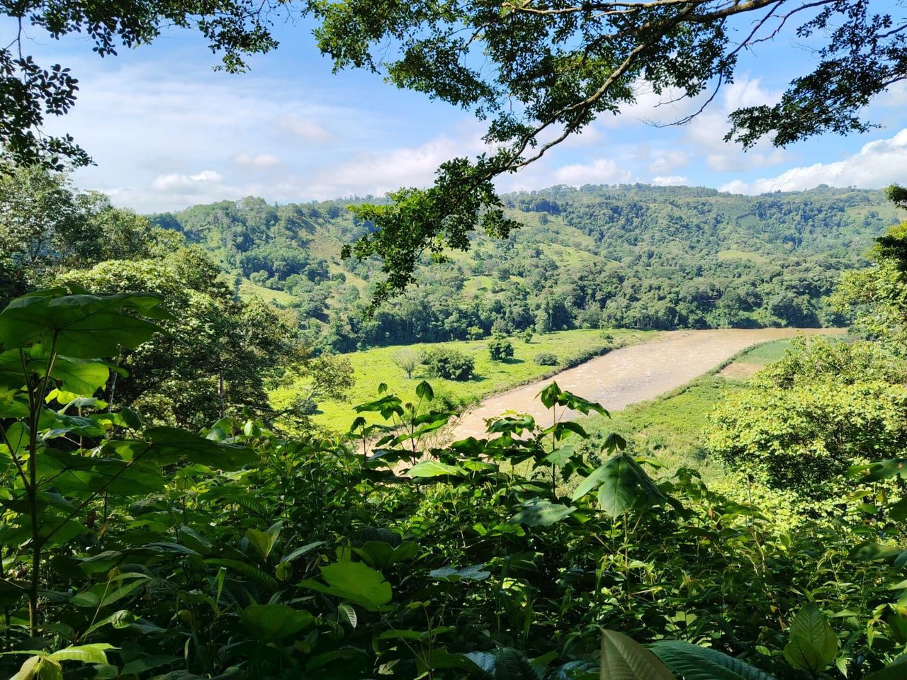 SE VENDE PROPIEDAD EN CAJÓN, COSTA RICA.: Mountain Home Construction Site For Sale in Cajón - Gallery image 15