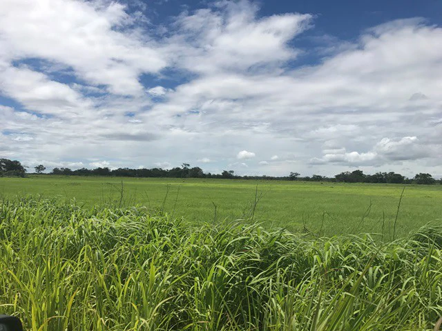 Large Development Land for Sale in Liberia, Guanacaste, Costa Rica - Gallery image 31