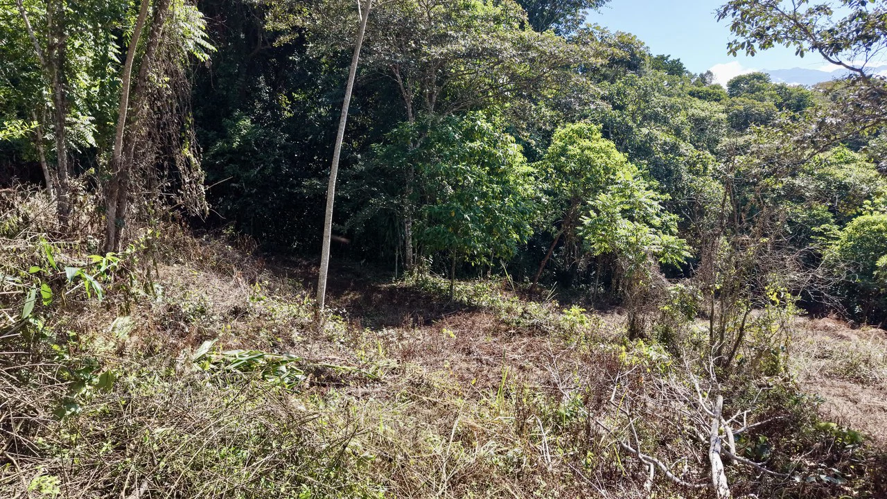 Home Construction Site For Sale in Pavones - Gallery image 29