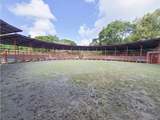 Serene Jungle Farm in Limon Province - Gallery image 51