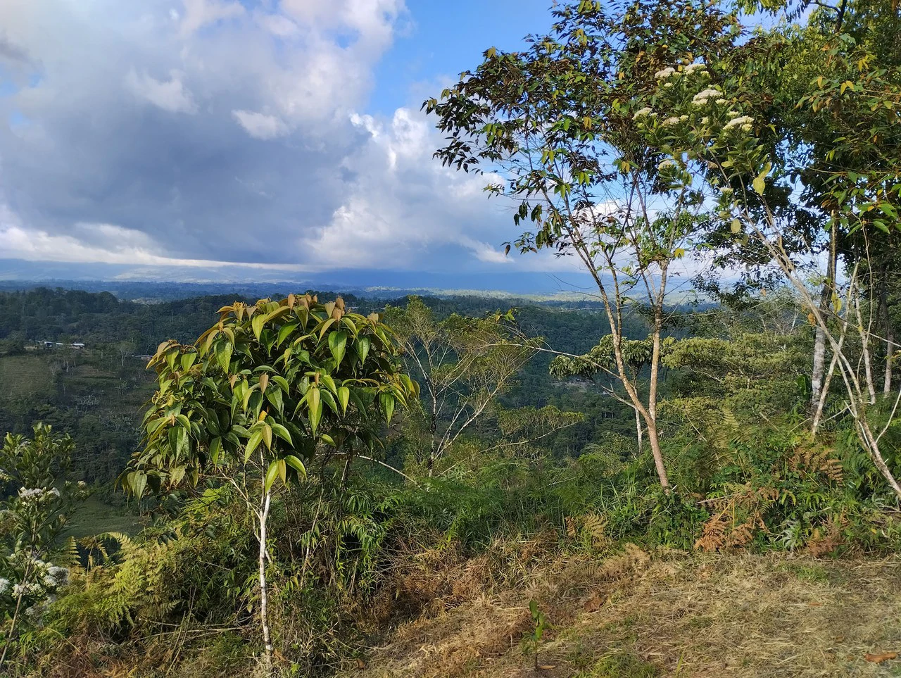 Charming Private Mountaintop home in the perfect climate of San Vito Coto Brus, San Isidro-Perez Zeledon, San Vito, San Jose, Costa Rica
