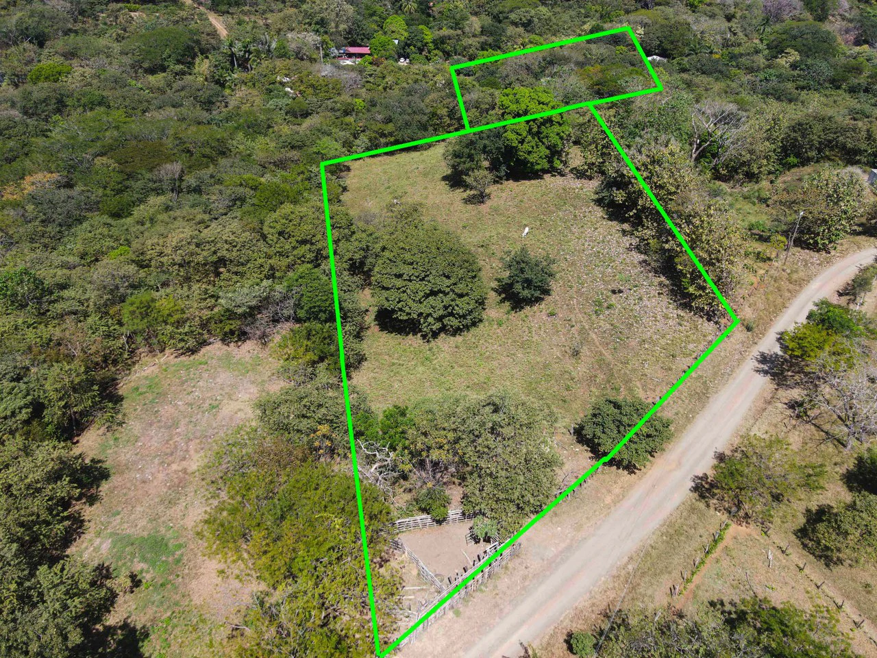 Four Acres of Paradise - Gallery image 2