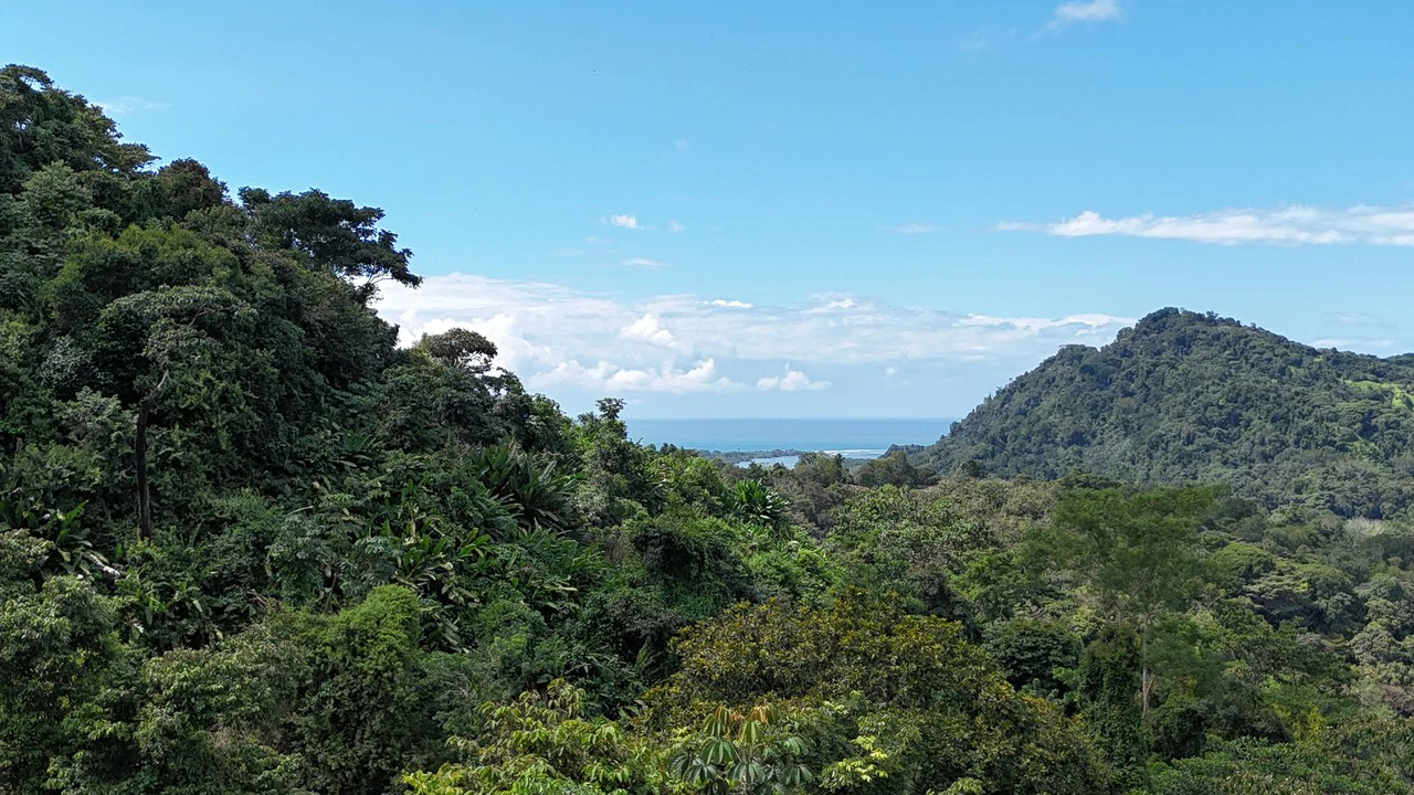 Stunning Ocean, Mountain, and Valley View Property in Tres Rios