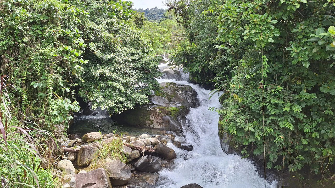 Propiedad en cedral: Mountain Home Construction Site For Sale in Cajón - Gallery image 4