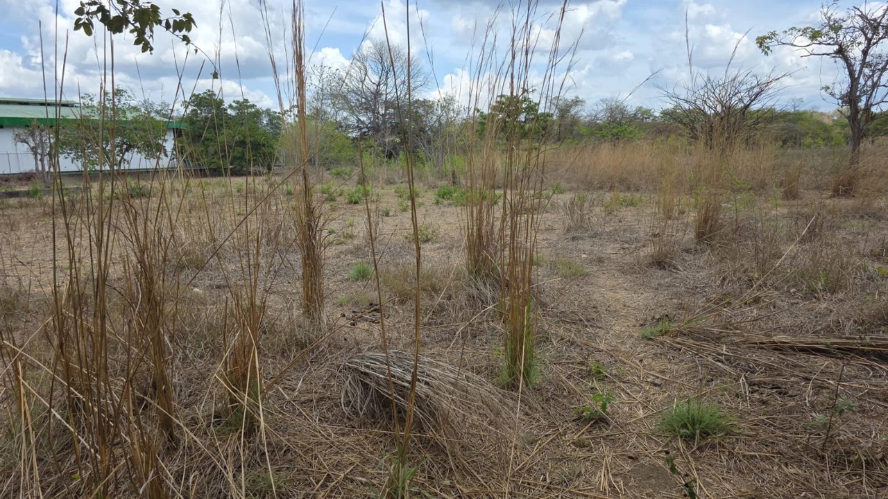 Property for Sale Near Liberia Airport with High Exposure and 60 Meters Frontage on Route 21, with Public Utilities