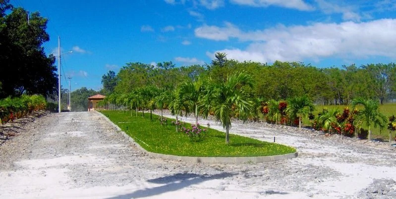 Colorado River Paradise Farm for Sale - Just 10 Minutes from Liberia - Gallery image 3