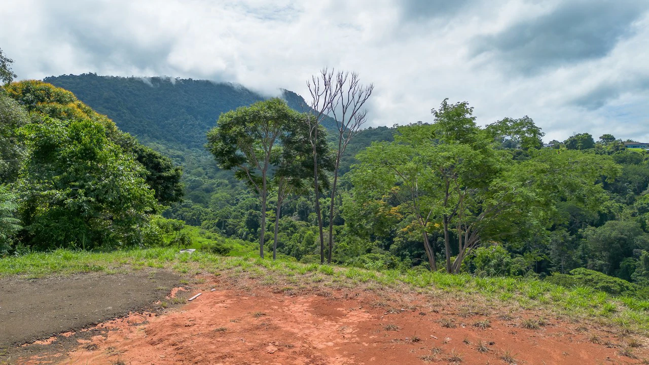 Luxury Ocean View Lot in Piñuelas - Premier Building Site - Gallery image 14