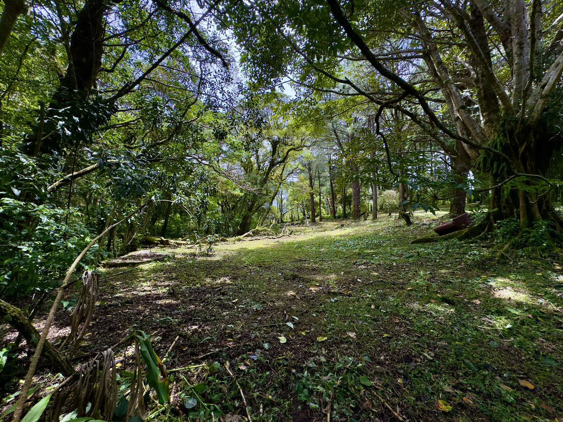 Live in harmony with nature in San Rafael de Heredia - Gallery image 16