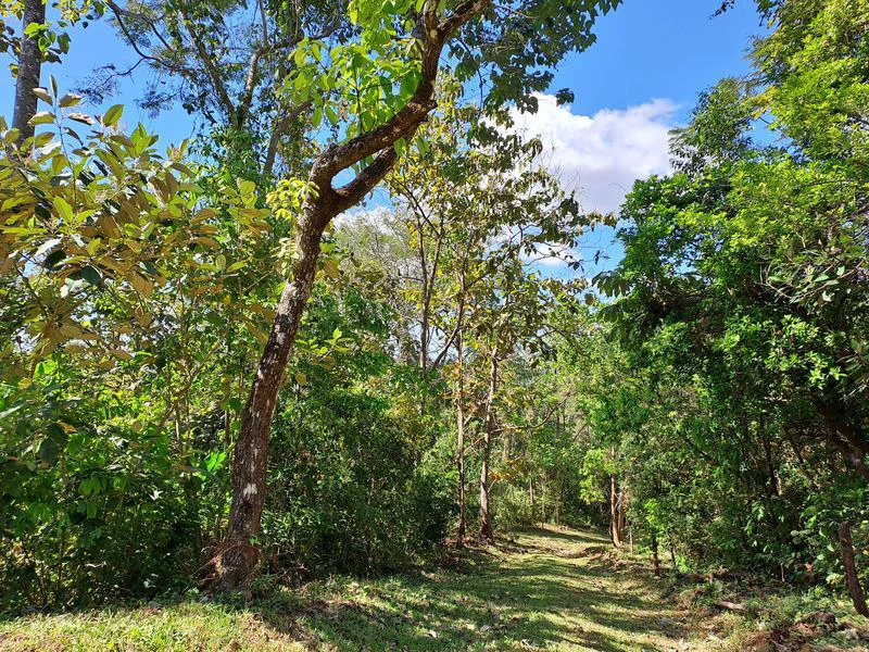 Lotes Mirador: Lotes Mirador, Breathtaking Lots with Stunning Ocean and Mountain Views, Large Building Pads, just 30 minutes from Samara Beach - Gallery image 10
