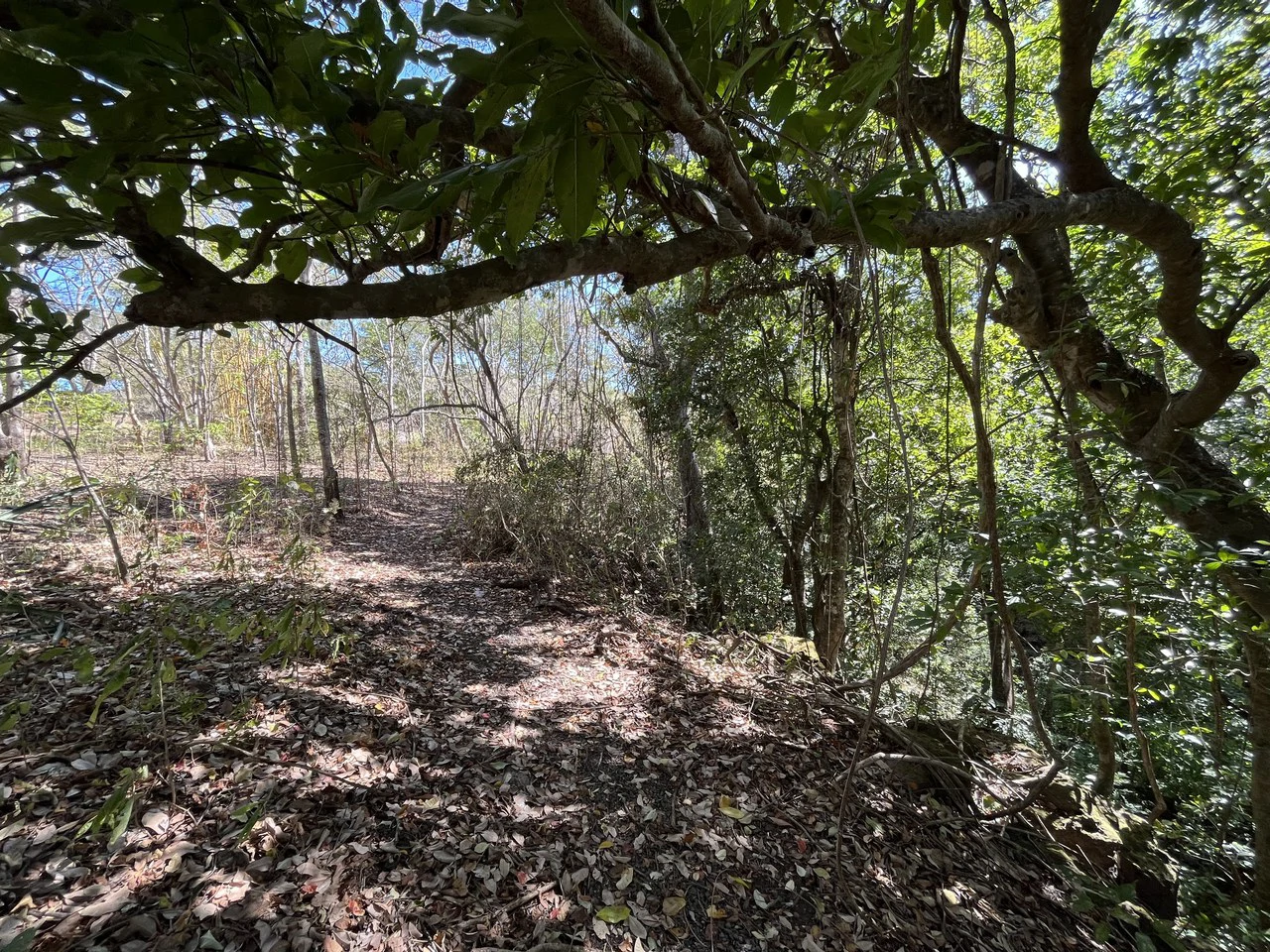 Ocean view lots in gated community with views on Golf of Papagayo - Gallery image 7
