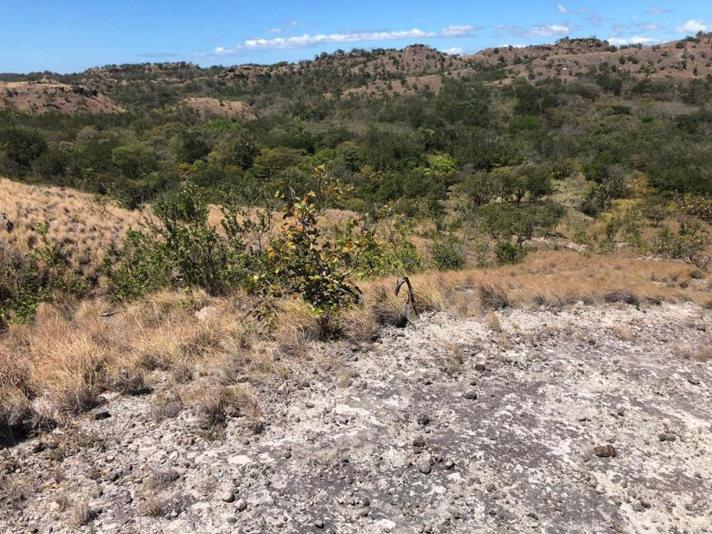 Big Farm: Property of 231 hectares in the Salto de Bagaces - Gallery image 4