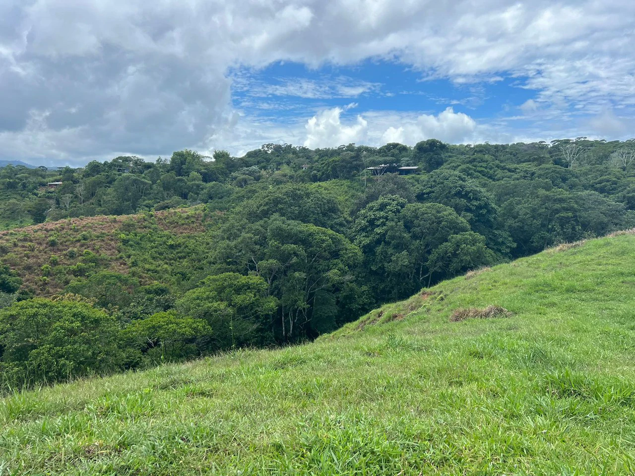 47 ACRES – Beautiful Mountain View Farm With Many Water Sources and Many Building Areas!!!! - Gallery image 22