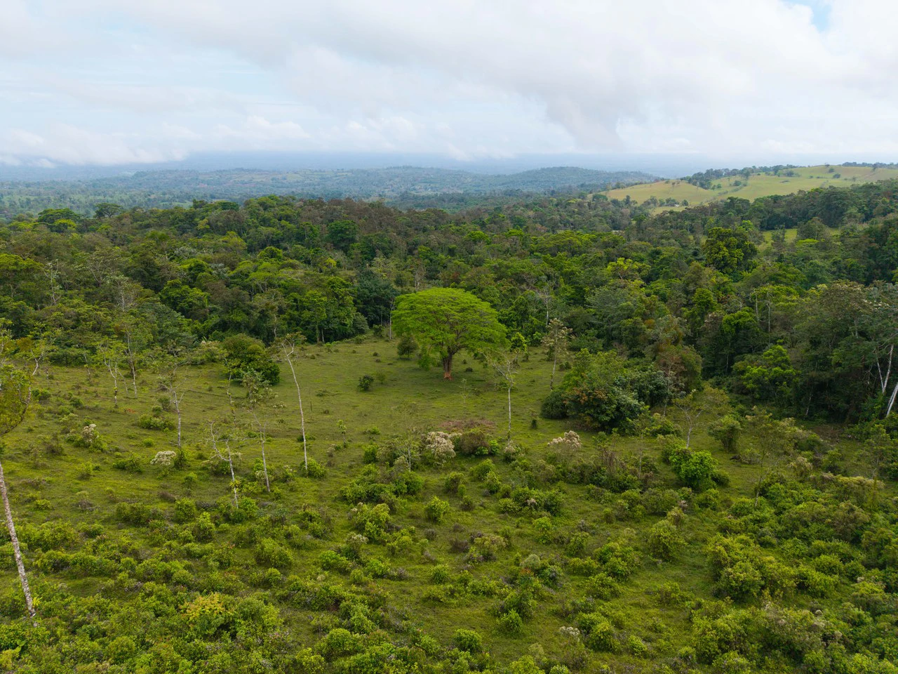 Finca Las Zompopas-Río Celeste: 113-Acre Biodiverse Property in Bijagua, Ideal for Eco-Tourism, Private Retreats, or Sustainable Development - Gallery image 25