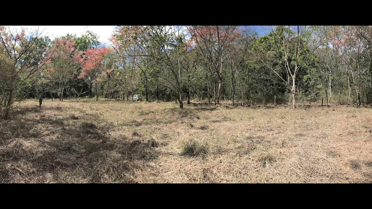 Finca Nora - Your Exclusive Tropical Paradise near Barrigona and Samara beach: Mountain Home Construction Site For Sale in Playa Samara