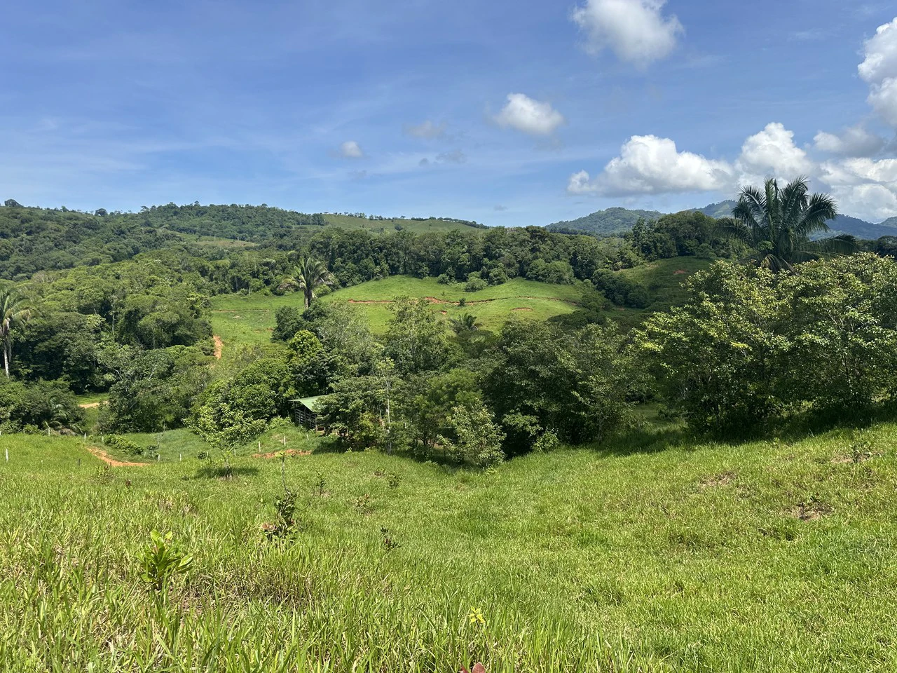 8.78 Acres Mountain View Estate with Water, Infrastructure & Endless Development Potential | Platanillo de Barú, Costa Rica - photo 22