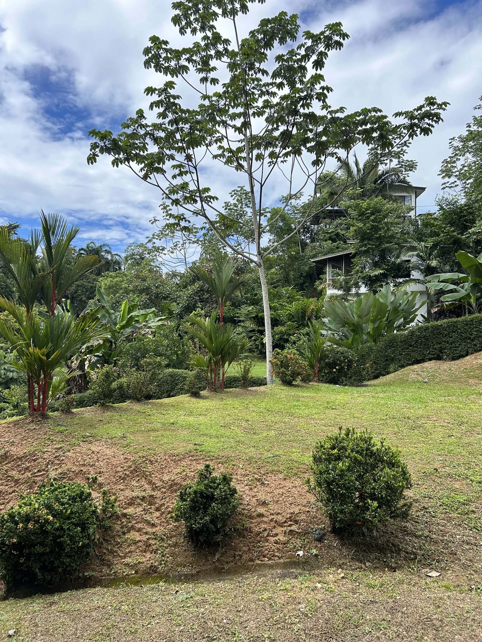 Playa Hermosa: Two Locations to Build, Permits Ready - Gallery image 39