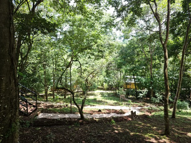Nosara's Brand New Top Villas as a Business Opportunity in the dense forest of catchment area, 7 villas for sale in Costa Rica's Healthy Blue Zone - Gallery image 22