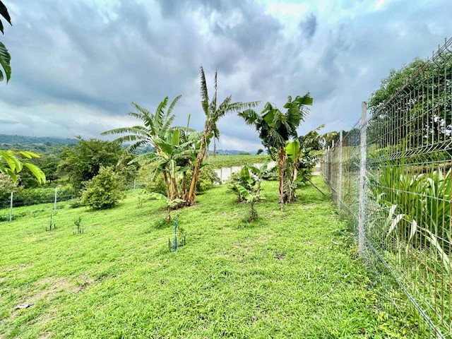 CA-005 Casa del Invernadero: Premium 3-BR / 3.5-BA Gated Estate in Grecia | Turnkey Furnished Option, Private Greenhouse, Clay Roof & River Access - Gallery image 39