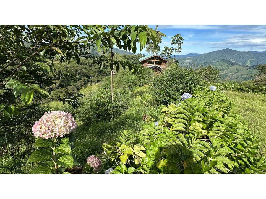 BEAUTIFUL MOUNTAIN VIEW FINCA WITH CABIN IN RIO NUEVO - Gallery image 13